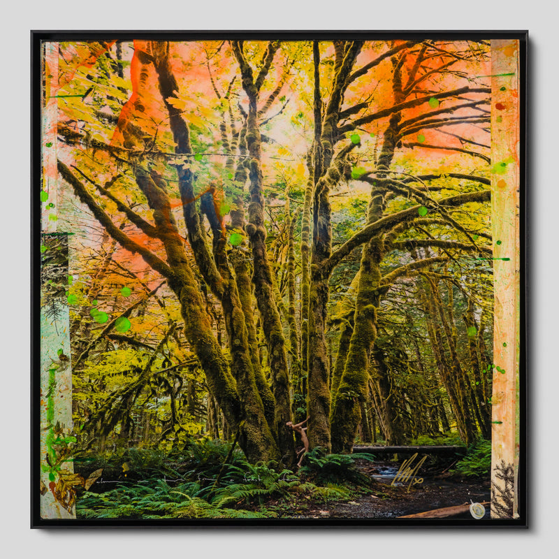 MAZ SLE UNI 33920 Mossy Abandon Unique 1 1