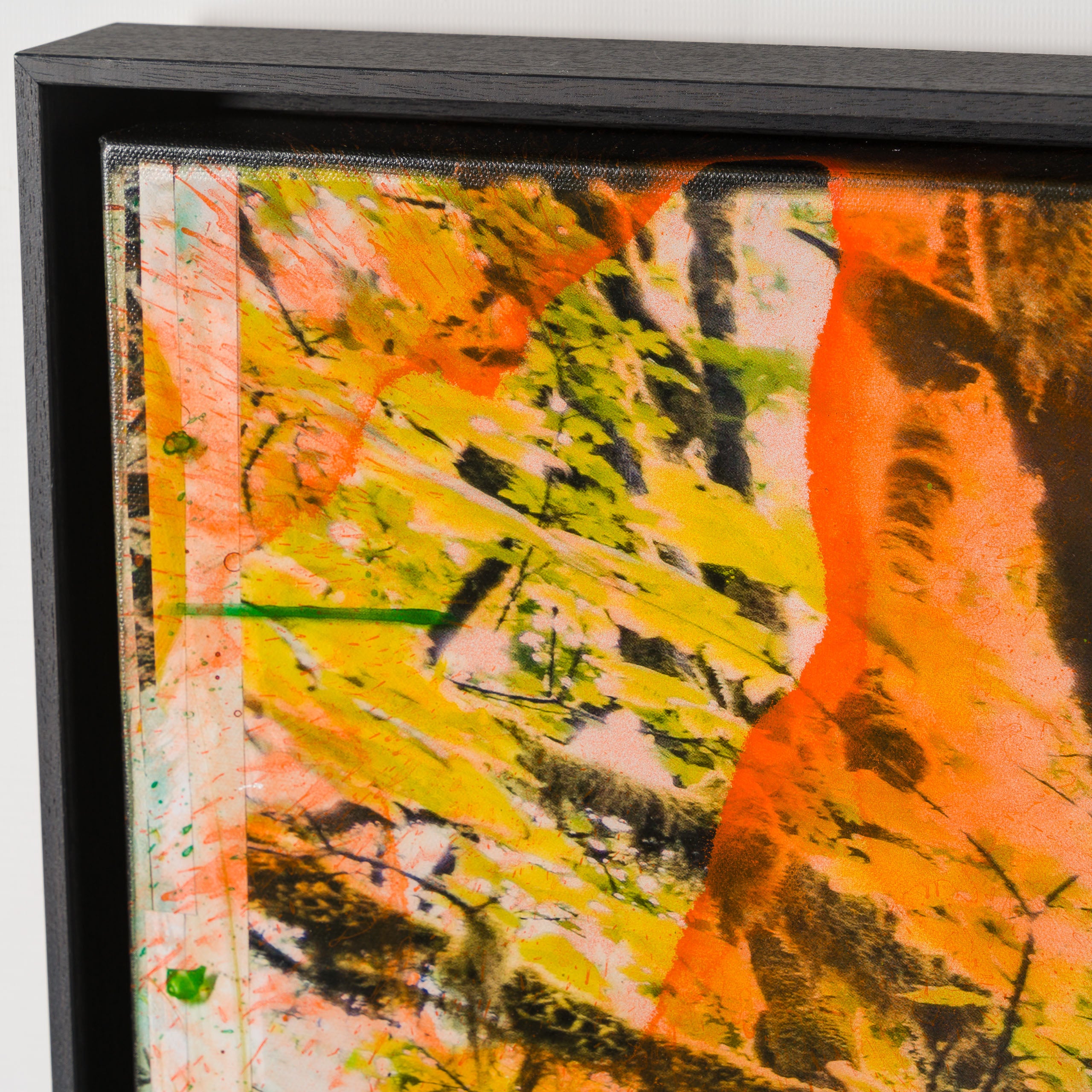 MAZ SLE UNI 33920 Mossy Abandon Unique 1 8