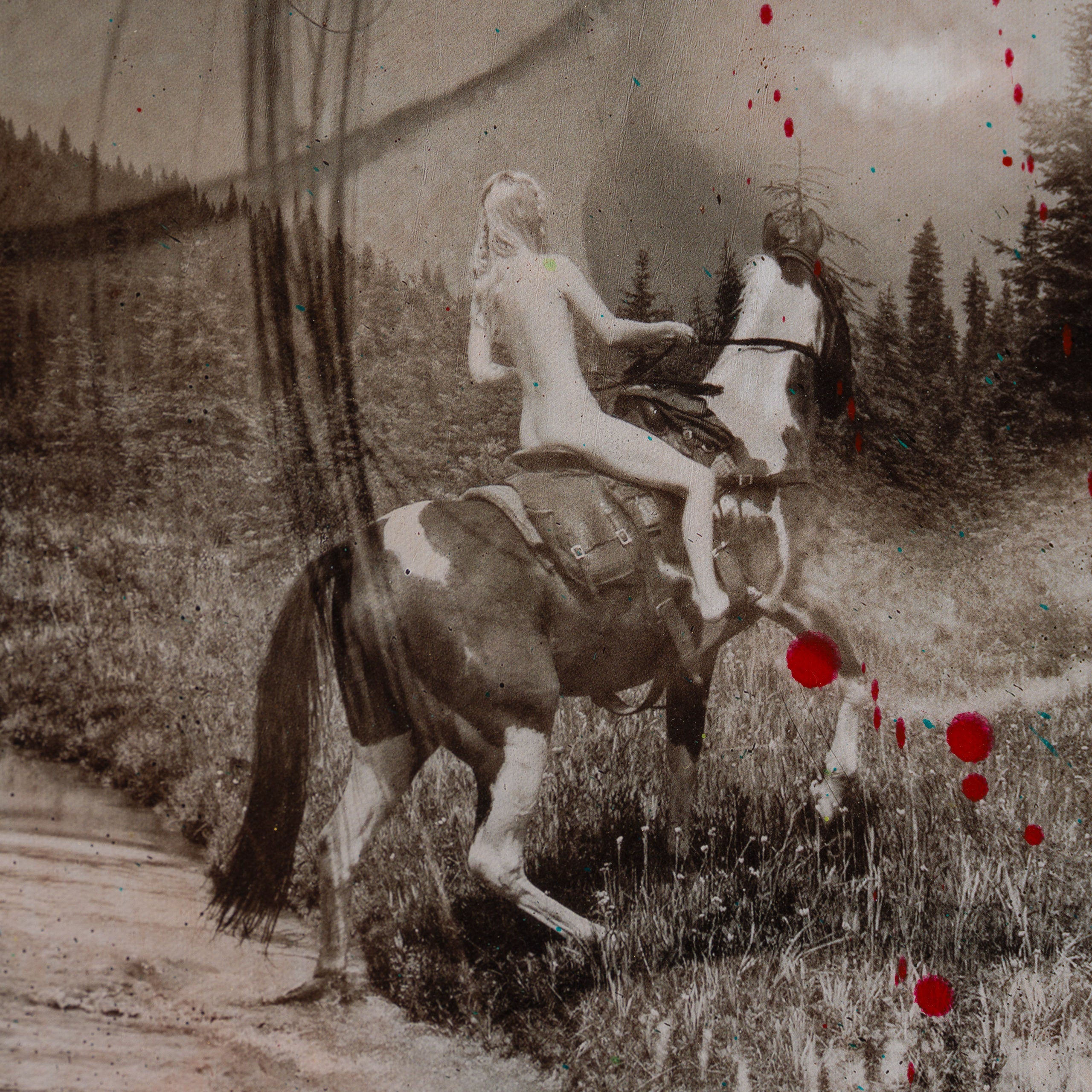 MAZ SLE UNI 33922 Homeward Bound Unique 6 4