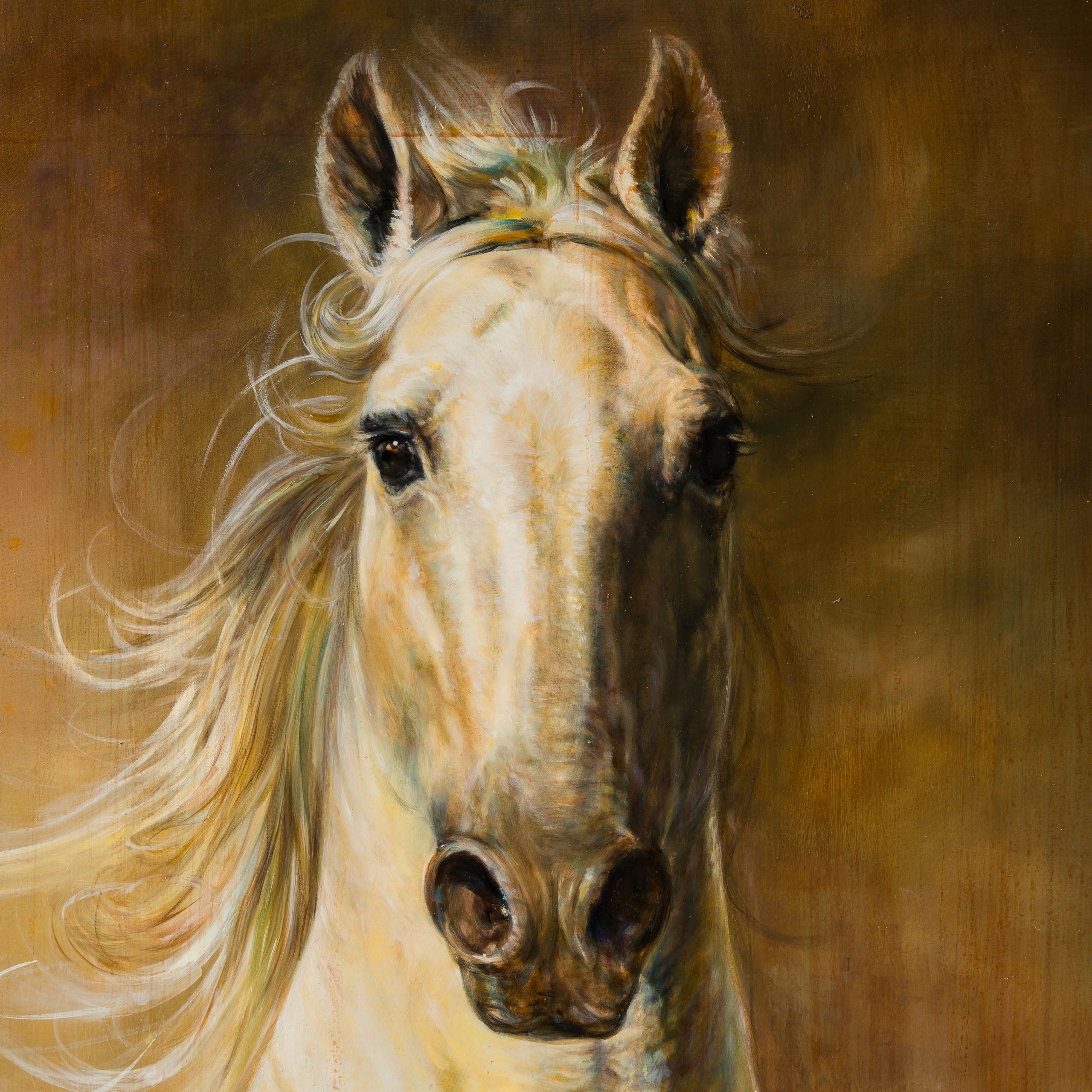 MHA ORI WWL 33899 Palamino 4