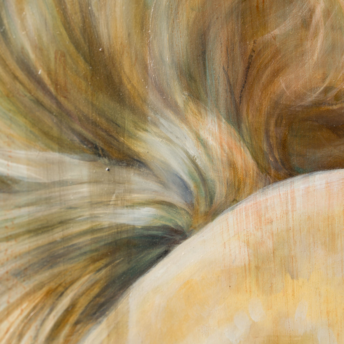 MHA ORI WWL 33899 Palamino 6