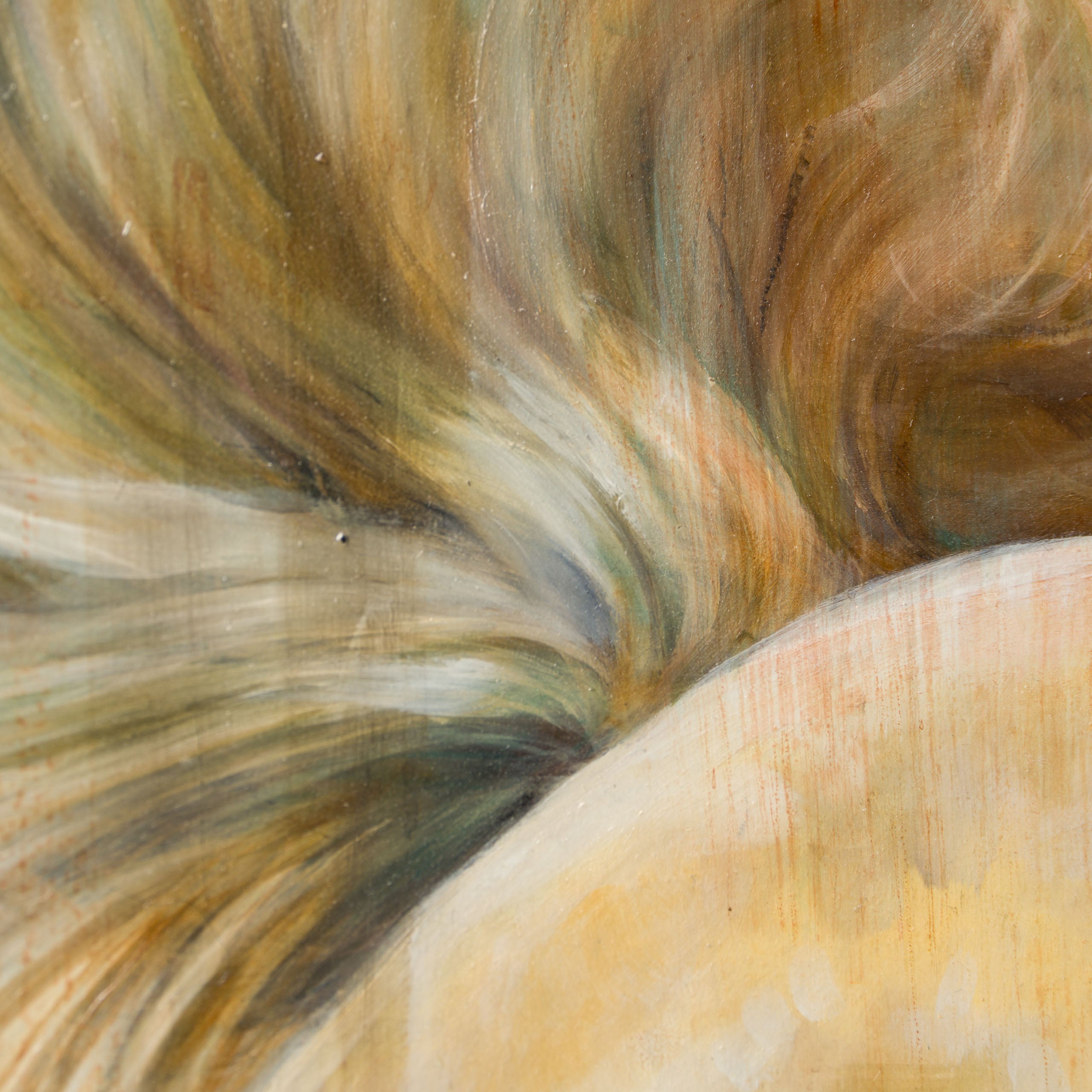 MHA ORI WWL 33899 Palamino 6