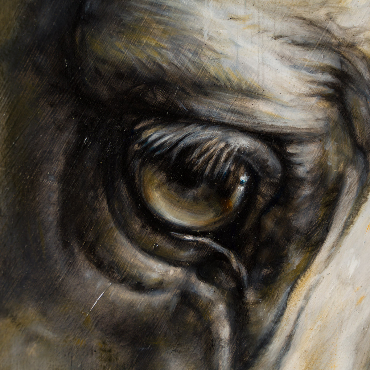 MHA ORI WWL 33900 Portrait Of A Princess 4