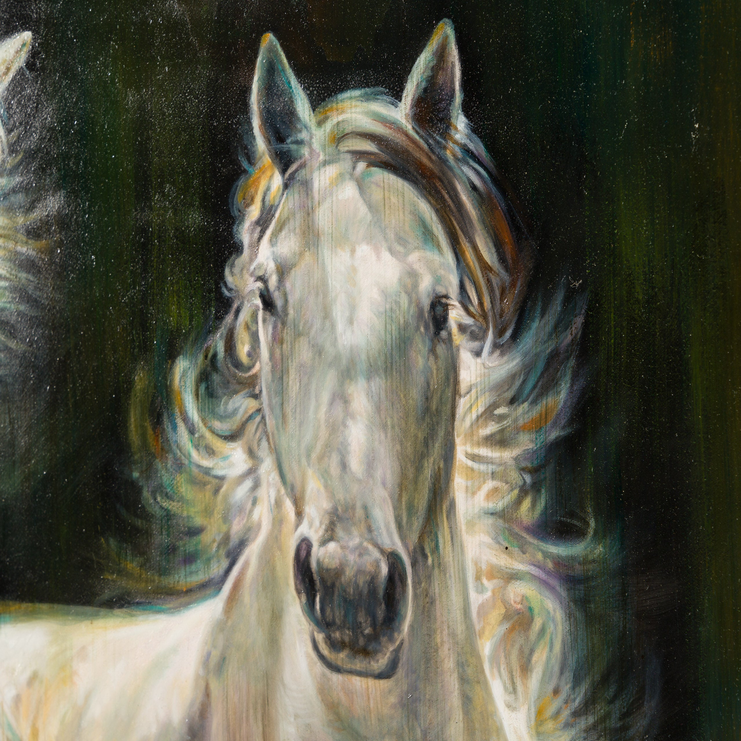 MHA ORI WWL 33904 The Spotlight 5