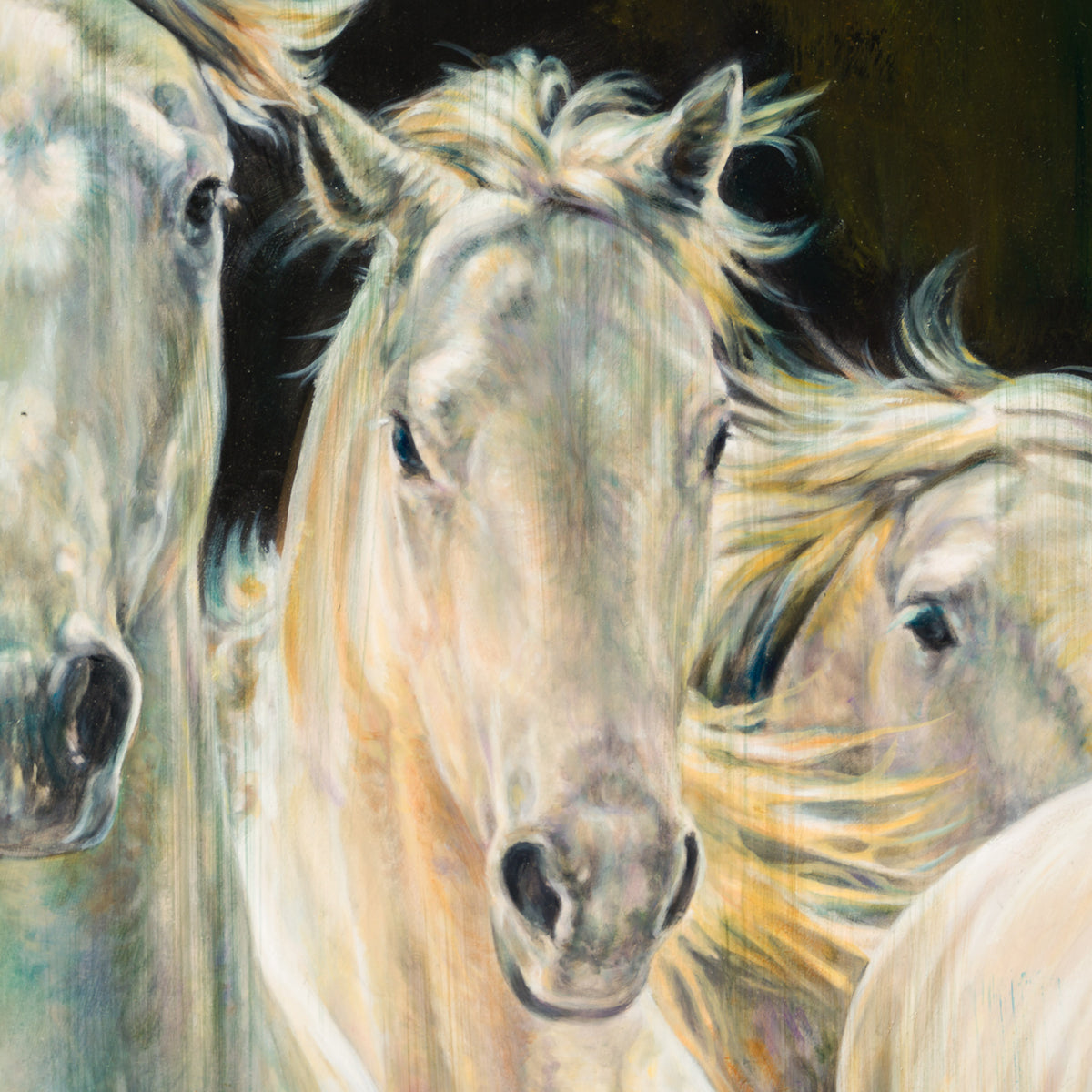 MHA ORI WWL 33904 The Spotlight 7