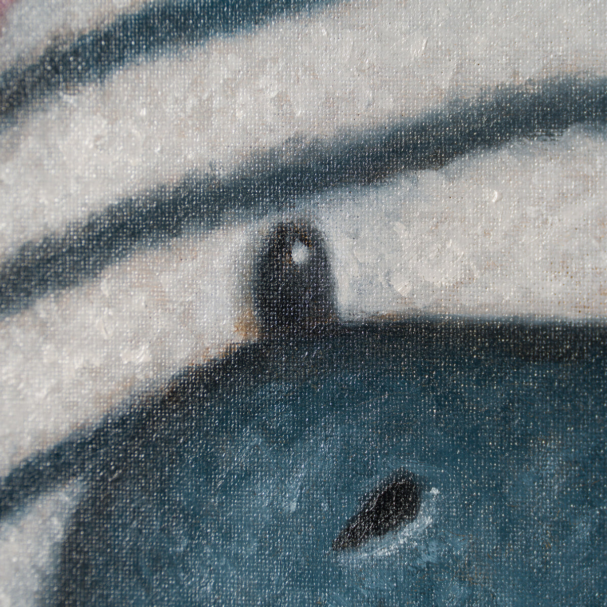 NHU ORI POR 34152 Zebra Portrait 6