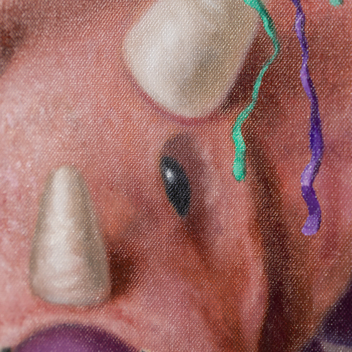 NHU ORI POR 35940 Triceratops 5