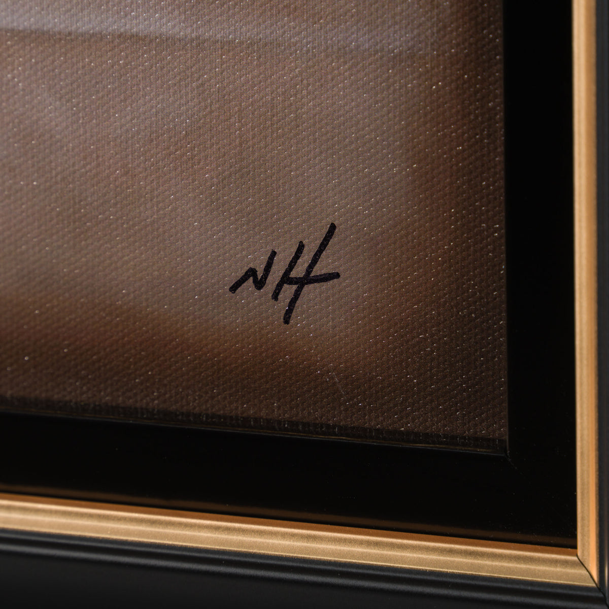 NHU Party Animal (Lion King) 3