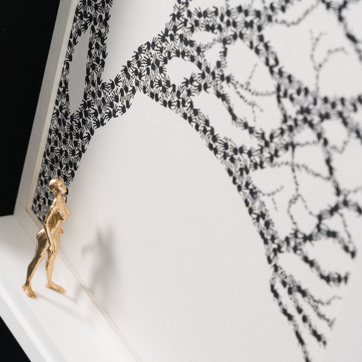 NJO Believe In Me 10