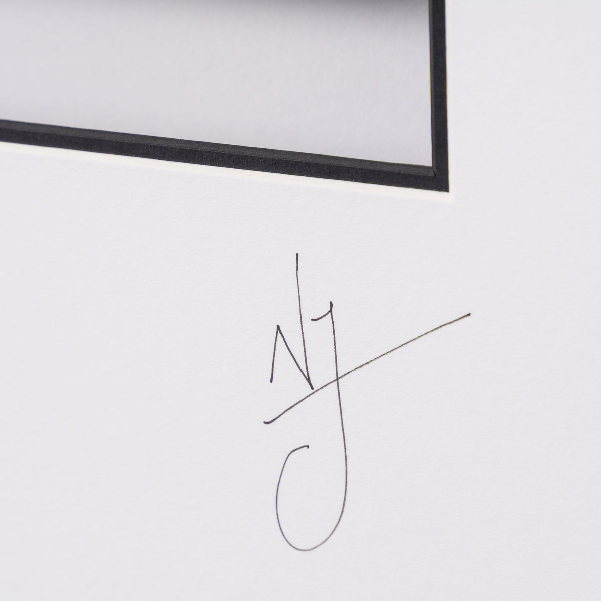 NJO Making It Real (Collectors Edition) 3