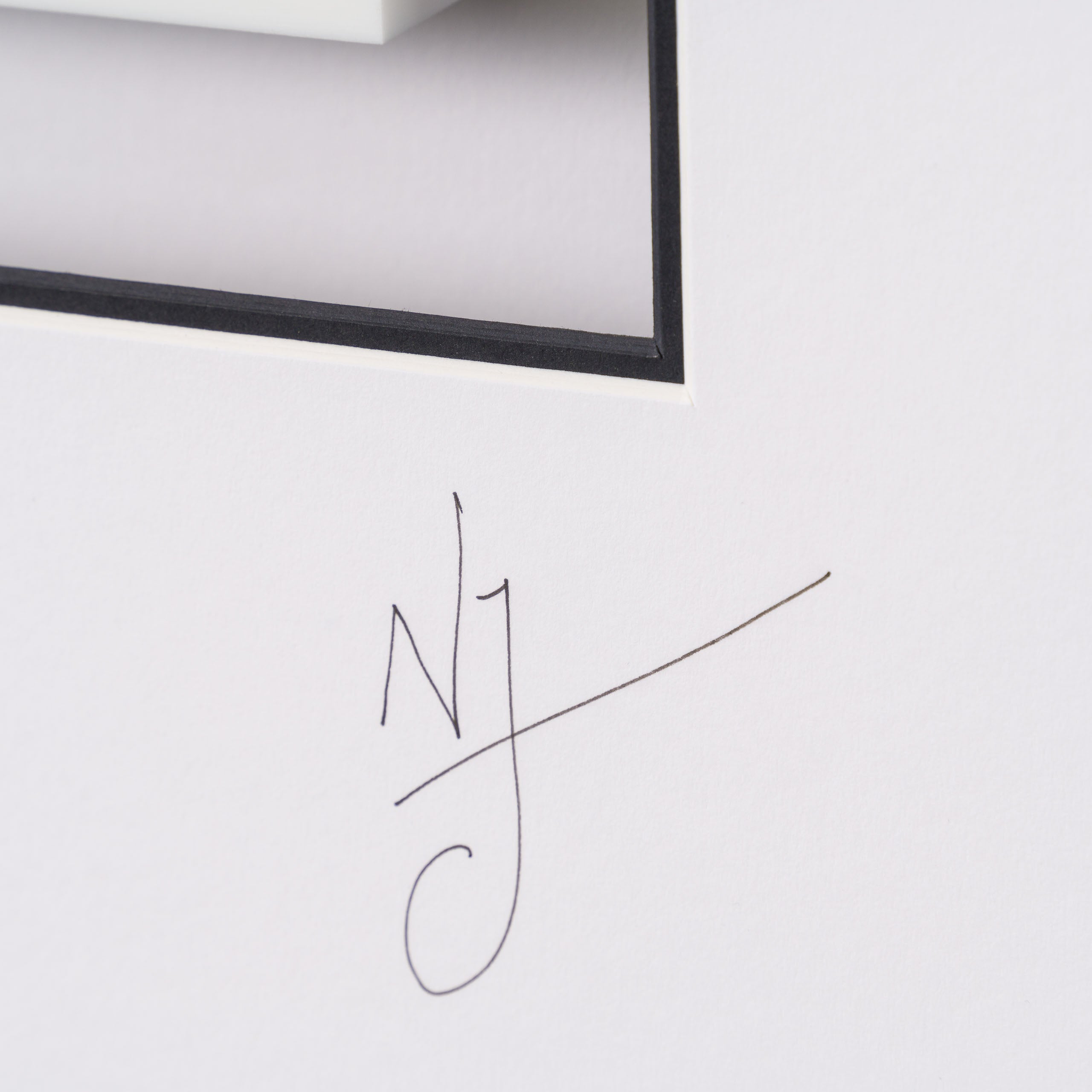 NJO Making Love (Collectors Edition) 3