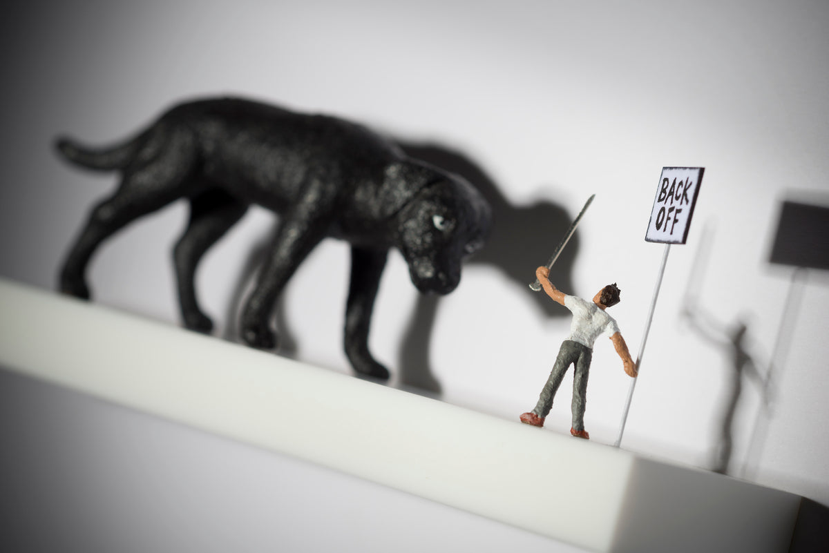 NJO The Black Dog c LR