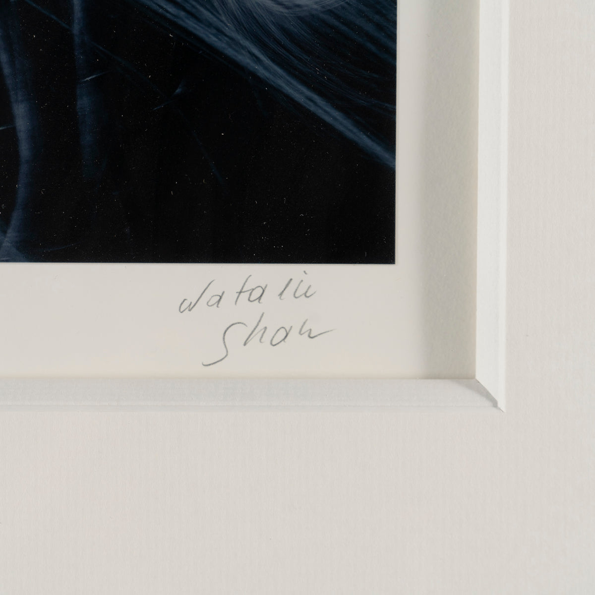 NSH SLE POR 08742 5 Diamond