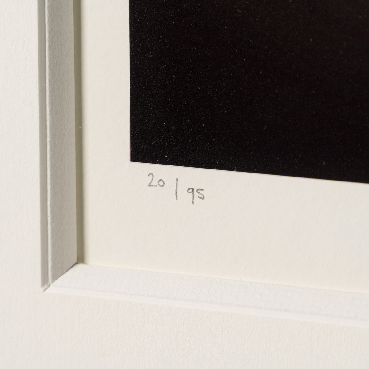 NSH SLE POR 08743 4 Ruby