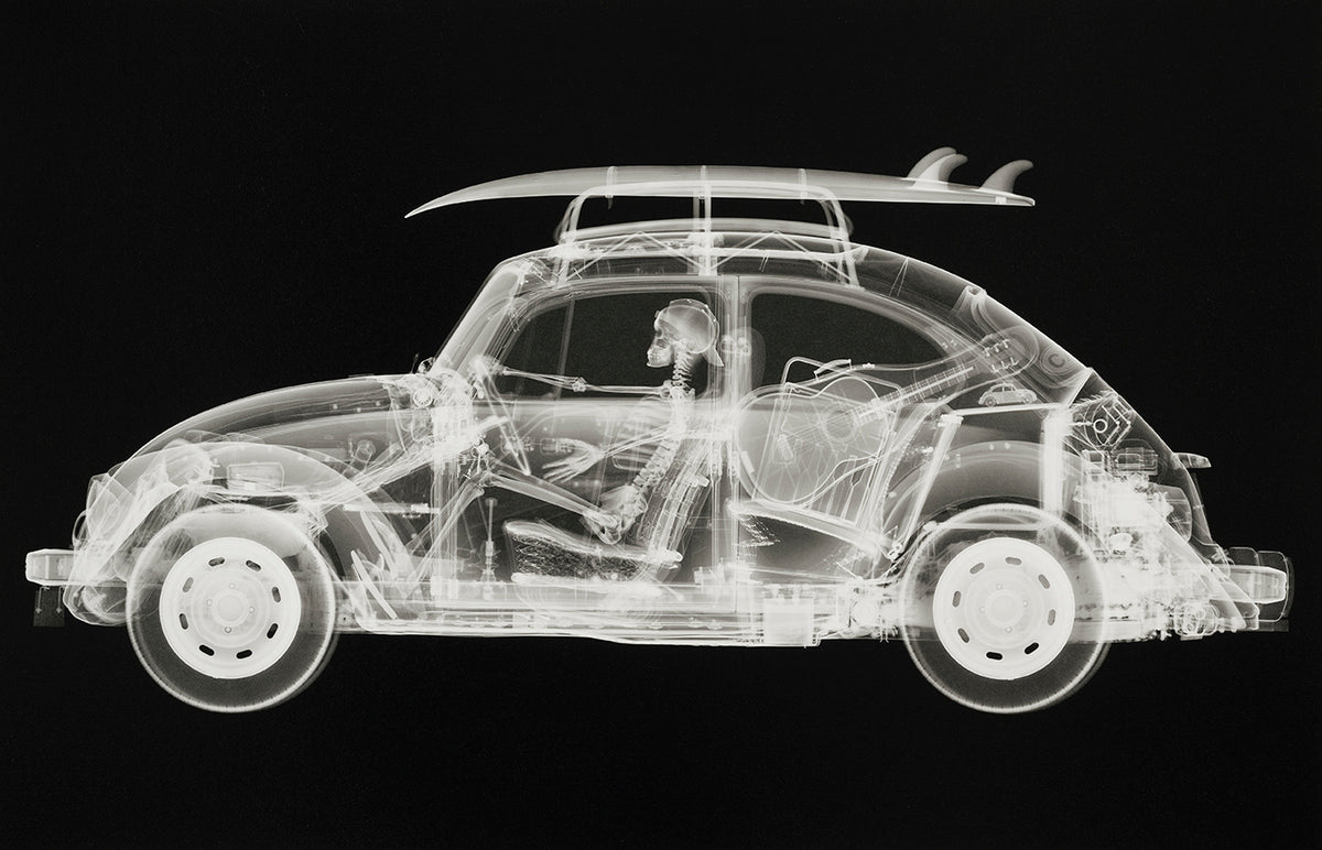 NVE CALIFORNIA BUG (LARGE BLACK)