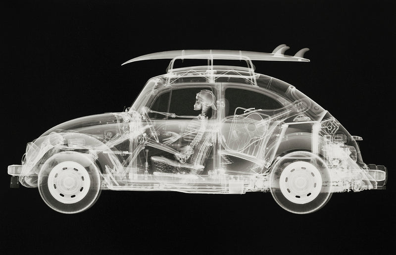 NVE CALIFORNIA BUG (LARGE BLACK)