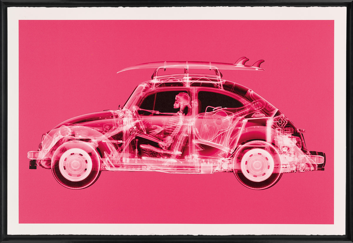 NVE CALIFORNIA BUG (LARGE PINK) F