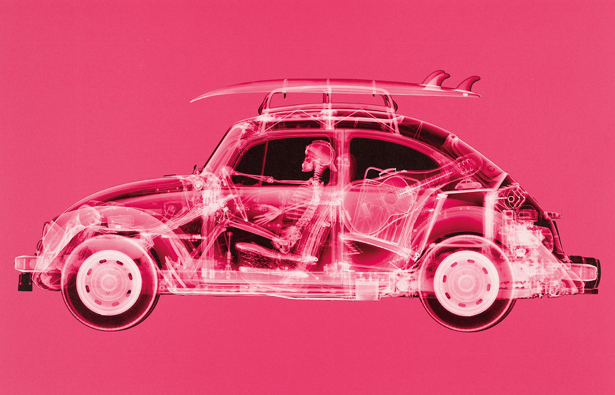 NVE CALIFORNIA BUG (LARGE PINK)