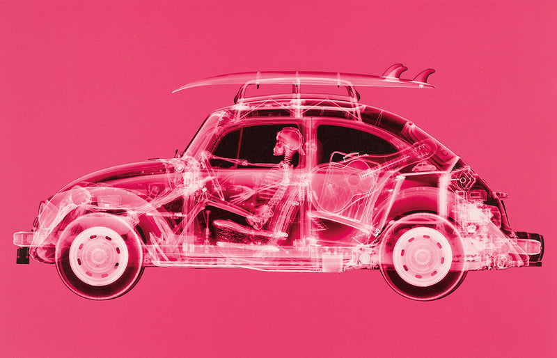 NVE CALIFORNIA BUG (LARGE PINK)