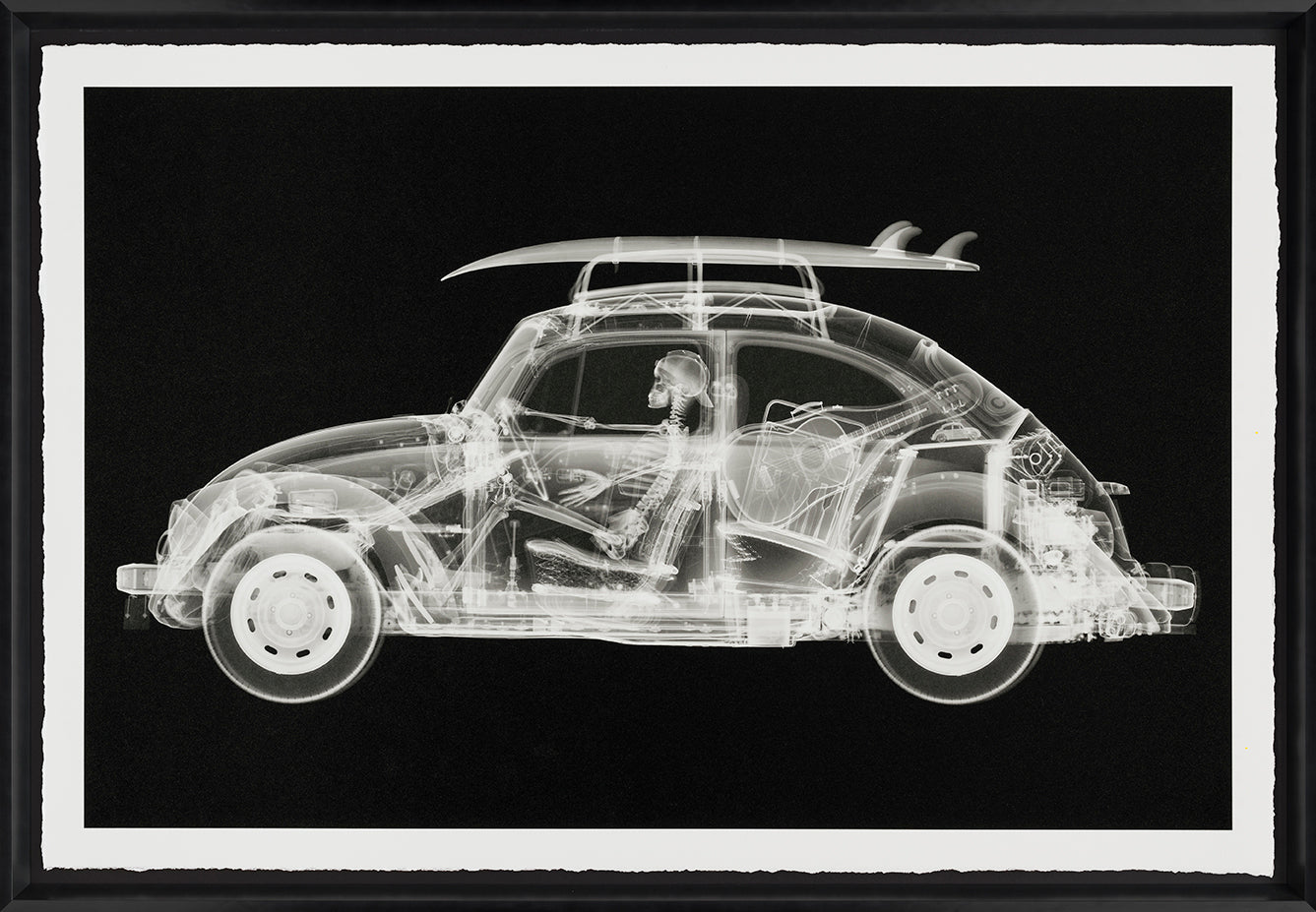 NVE CALIFORNIA BUG (STANDARD BLACK) F