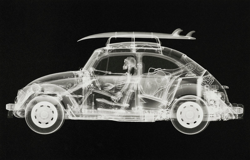 NVE CALIFORNIA BUG (STANDARD BLACK)