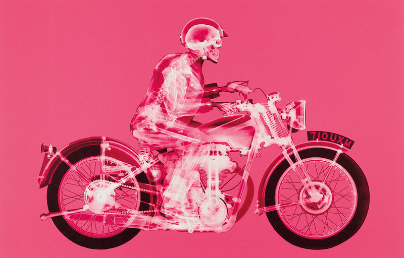 NVE MATCHLESS RIDER (LARGE PINK)