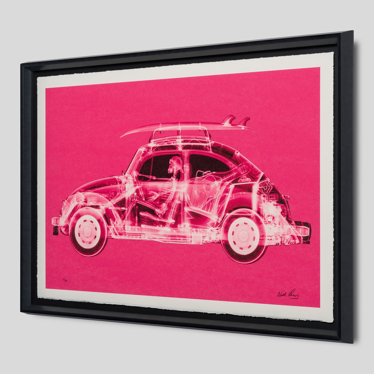 NVE SLE HUM 19932 2 California Bug (Standard Pink)
