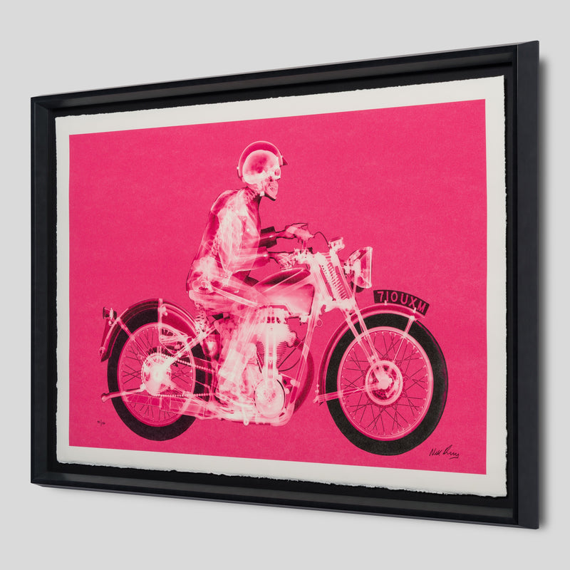NVE SLE HUM 19934 2 Matchless Rider (Standard Pink)