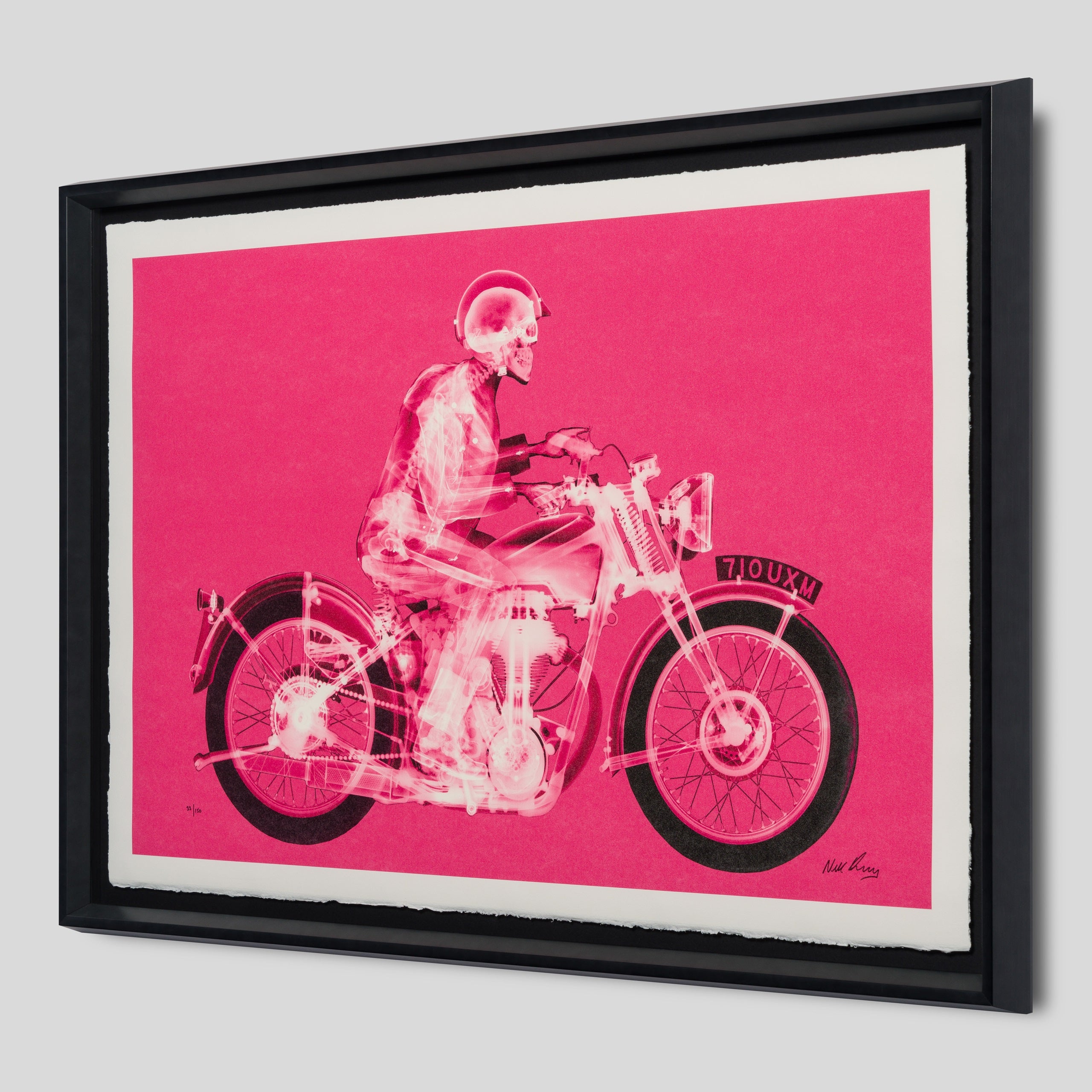 NVE SLE HUM 19934 2 Matchless Rider (Standard Pink)