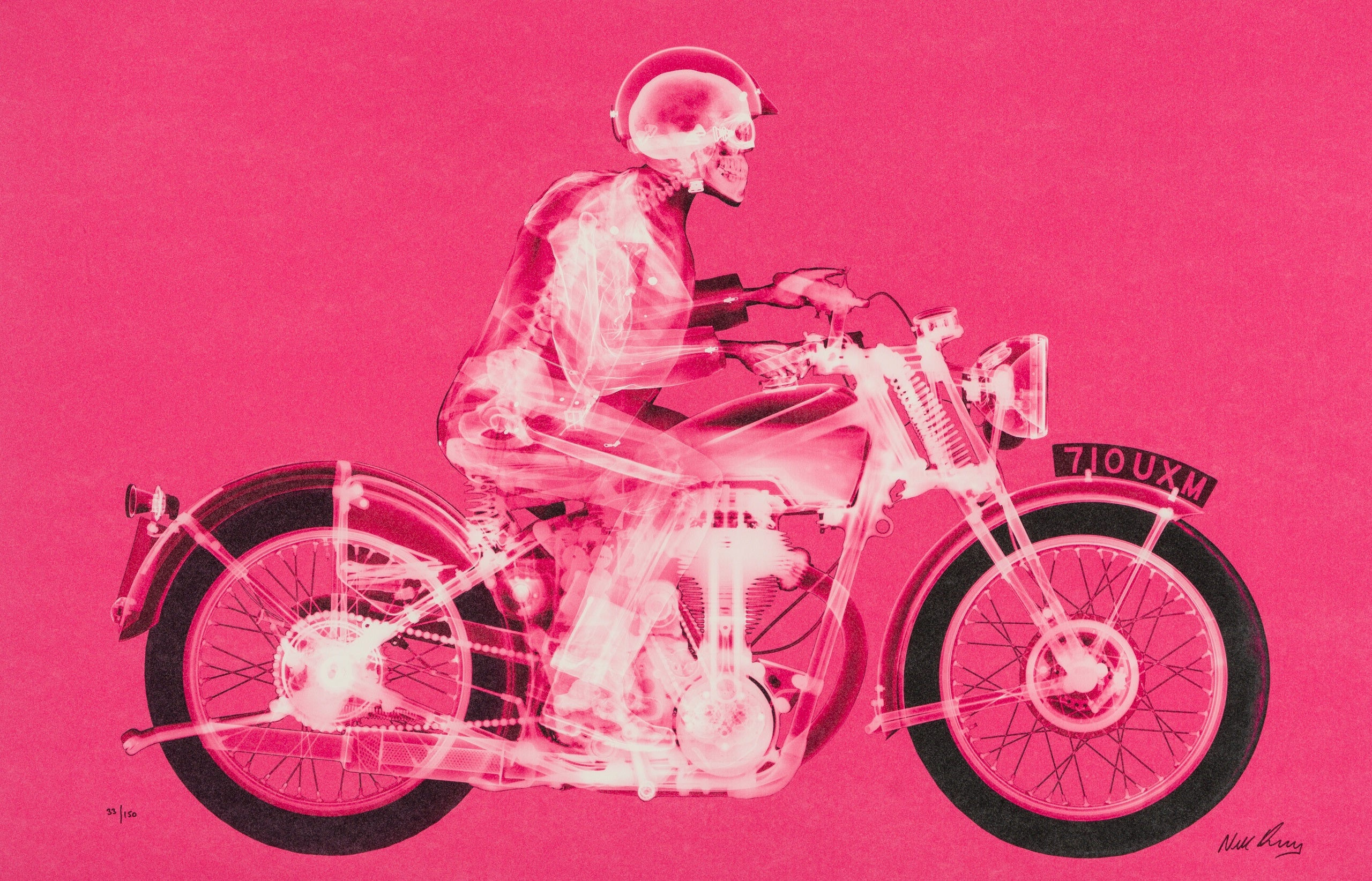 NVE SLE HUM 19934 31 Matchless Rider (Standard Pink)