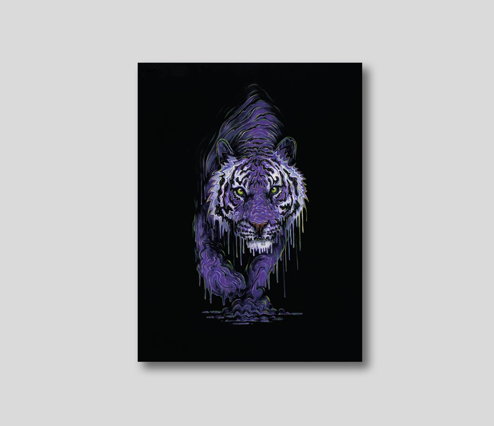 Orion Purple Cat Oxley PI