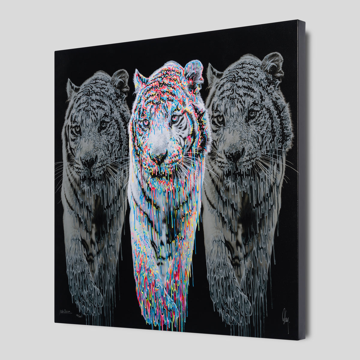 OXB SLE WWL 29397M 2 Baikal