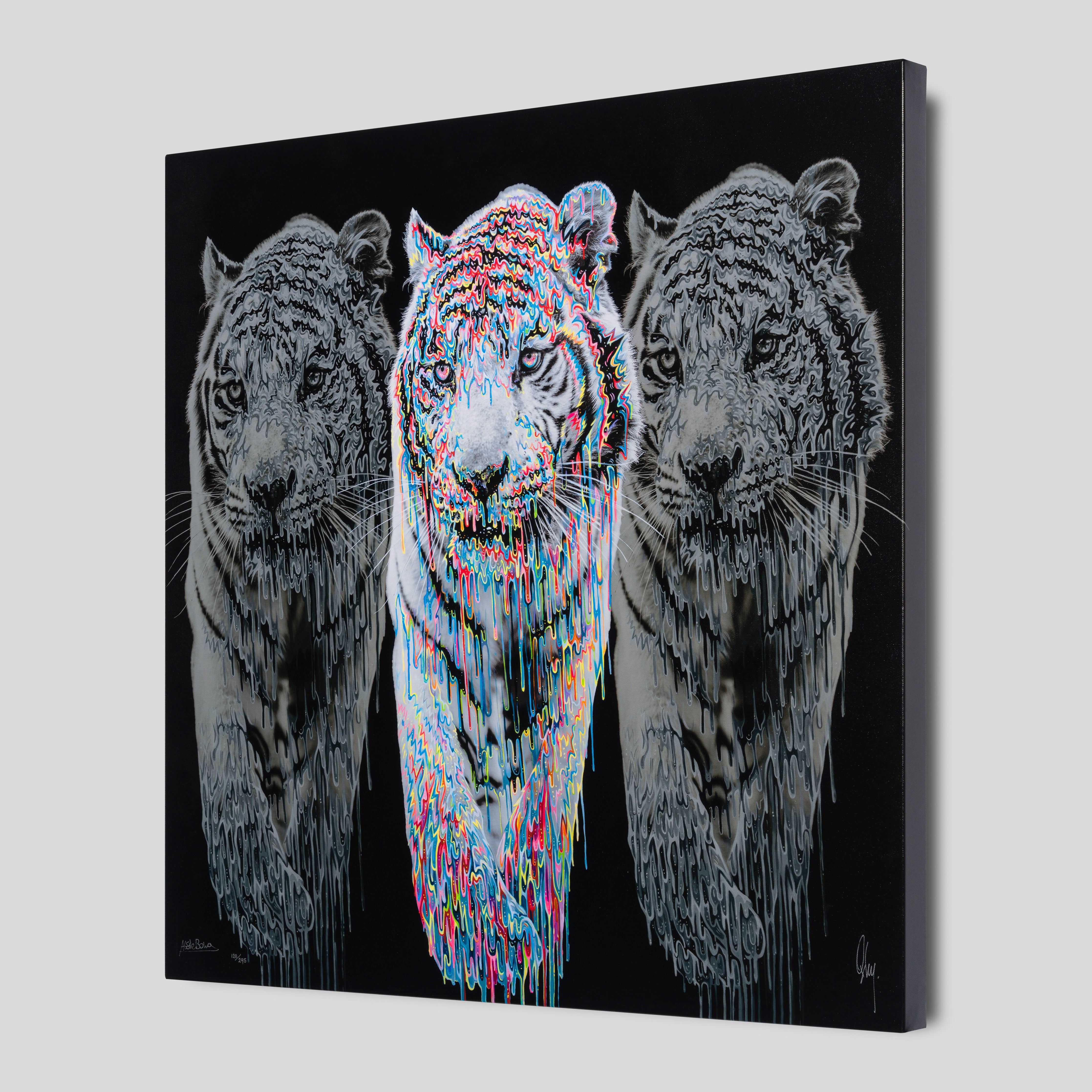 OXB SLE WWL 29397M 2 Baikal