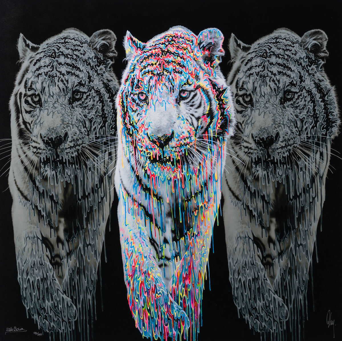 OXB SLE WWL 29397M 31 Baikal