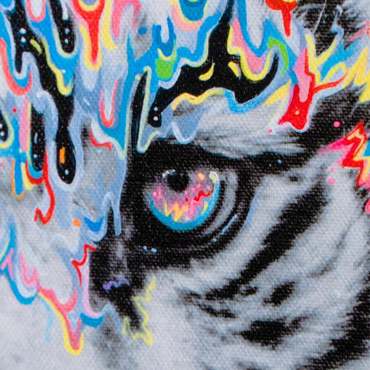 OXB SLE WWL 29397M 6 Baikal