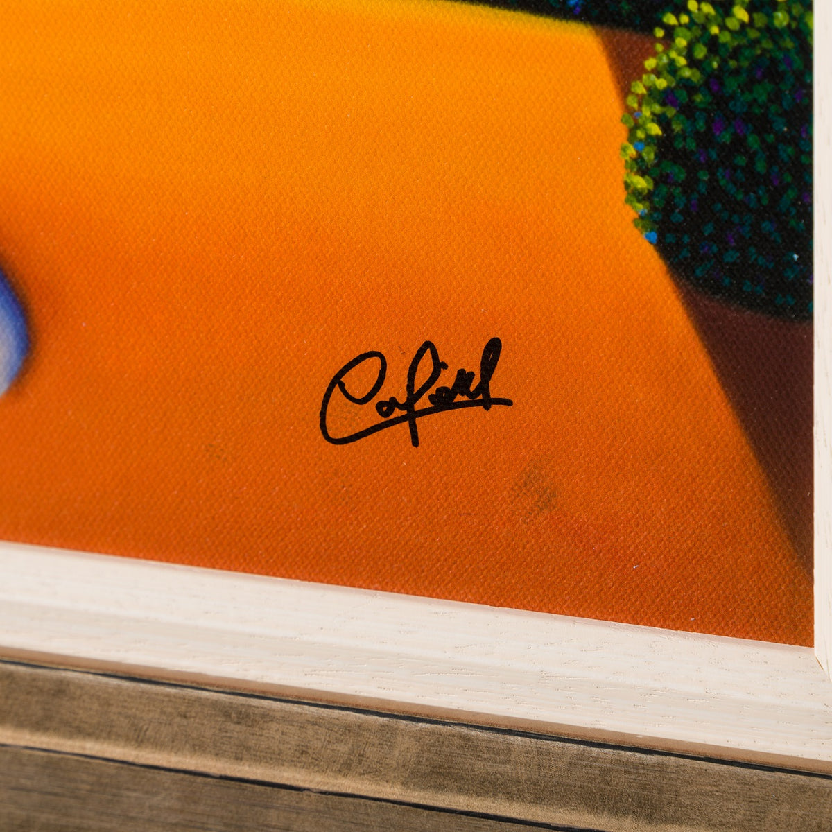 PCO 3 Bathed in Warmth