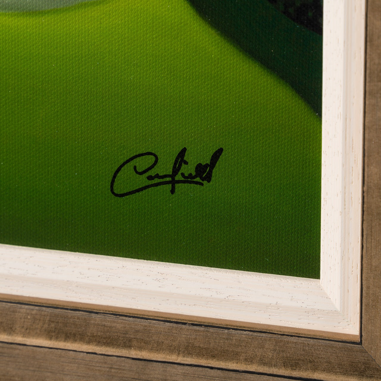 PCO 3 Beautiful Setting