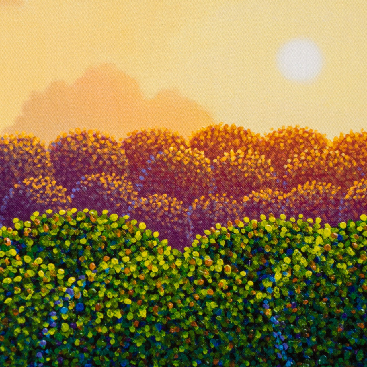 PCO 5 Bathed in Warmth