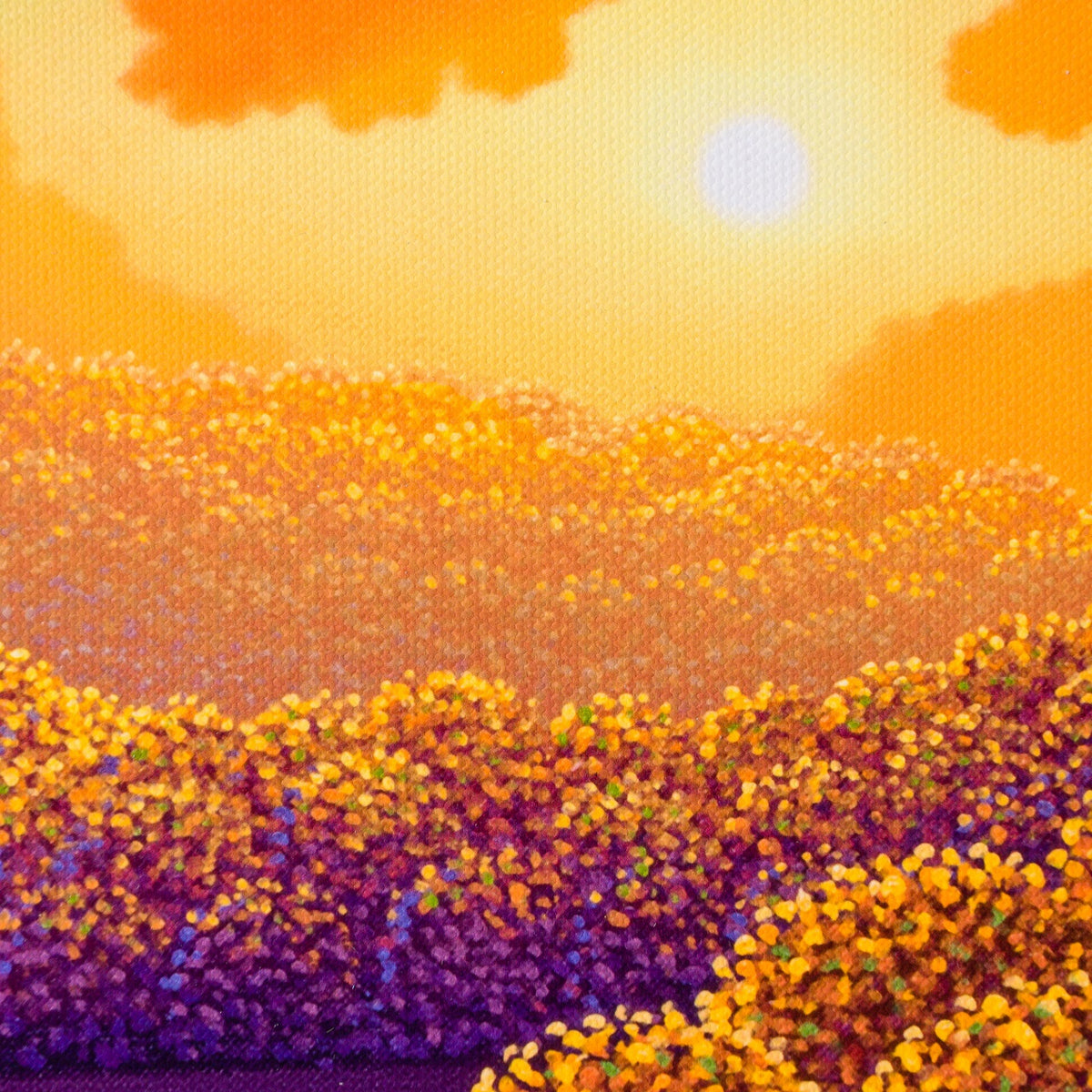 PCO 5 Beautiful Setting