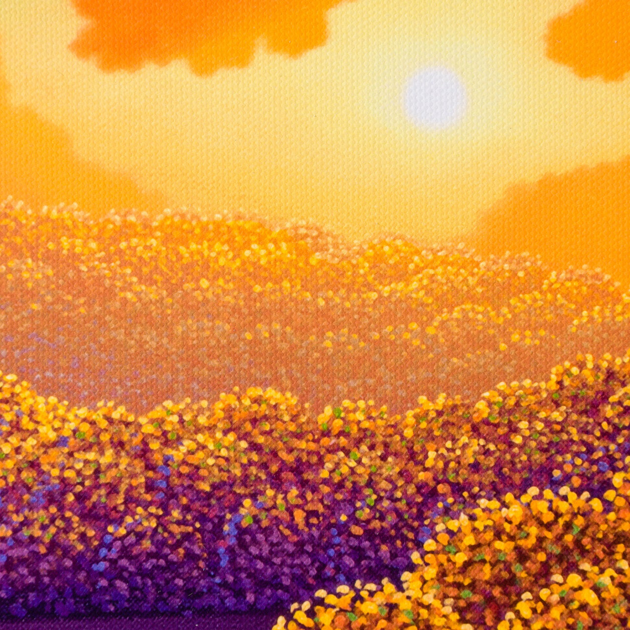 PCO 5 Beautiful Setting