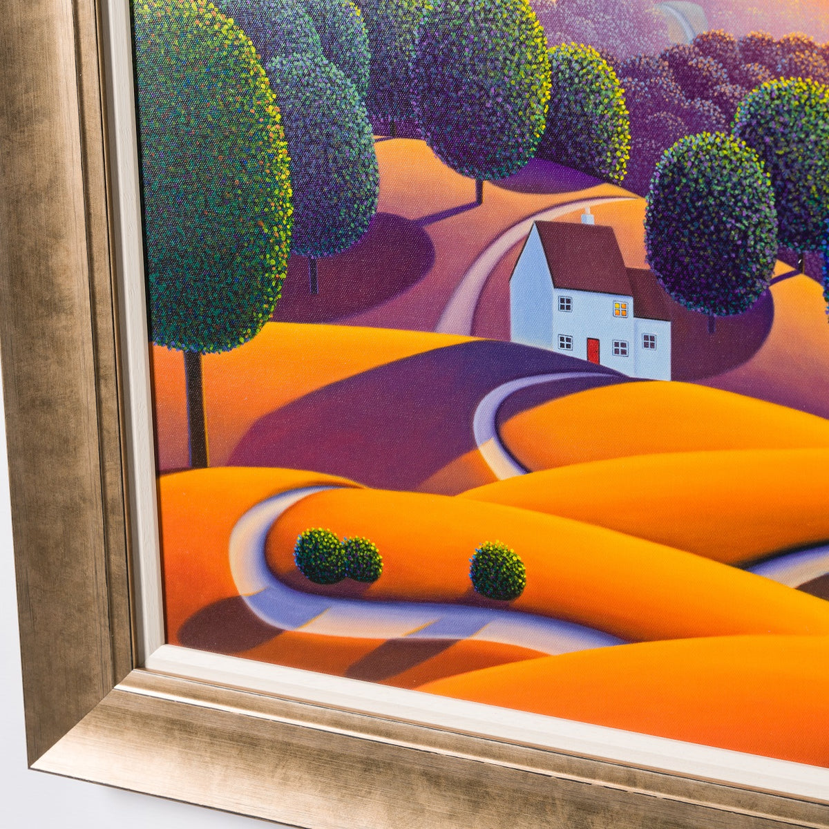 PCO 6 Bathed in Warmth