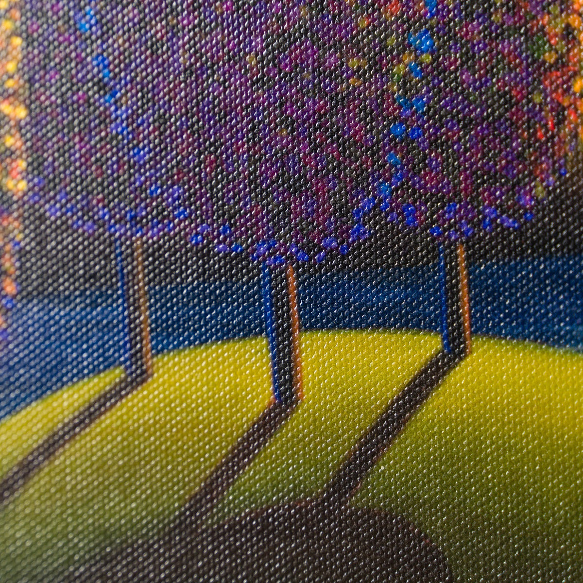 PCO 7 Beautiful Setting