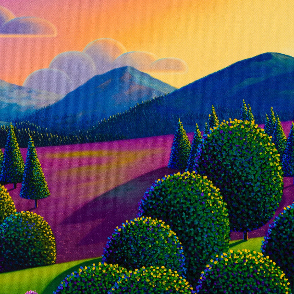 PCO 7 Highland Heather