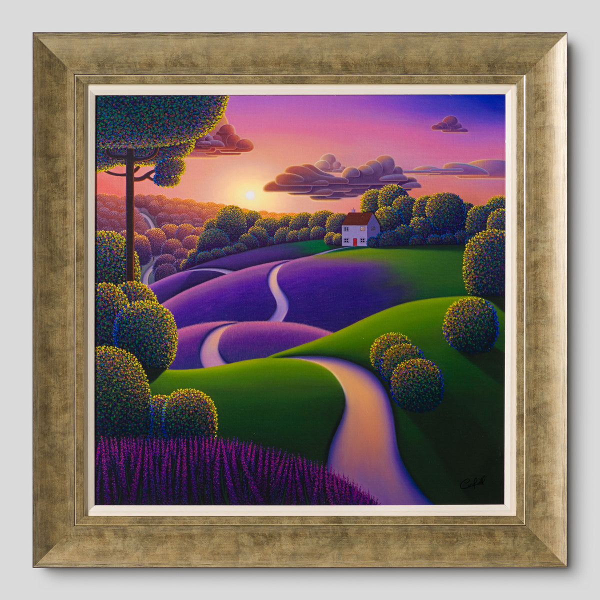 PCO Lavender Sunrise 1