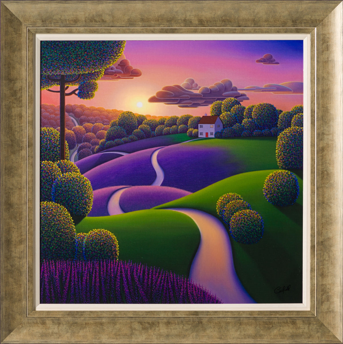 PCO Lavender Sunrise 30