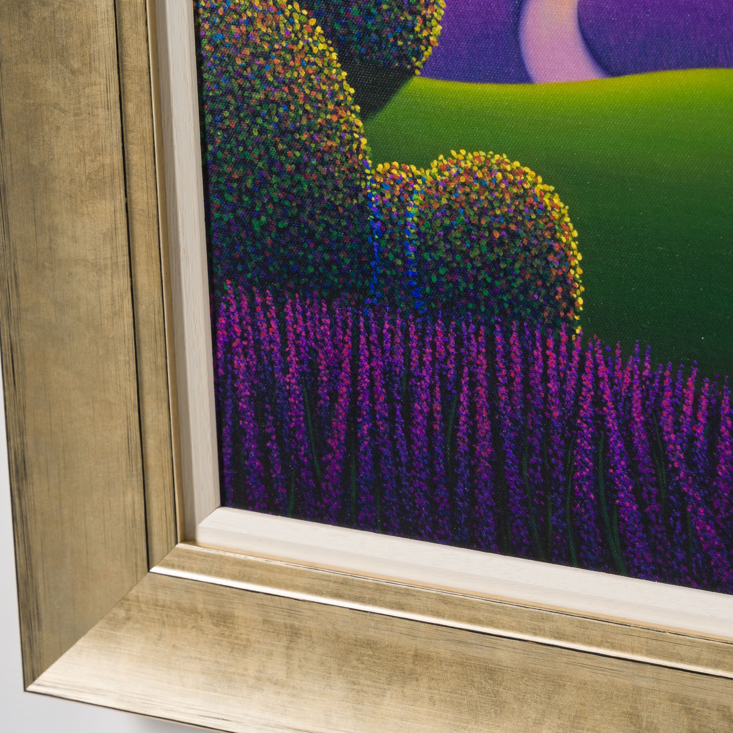 PCO Lavender Sunrise 6