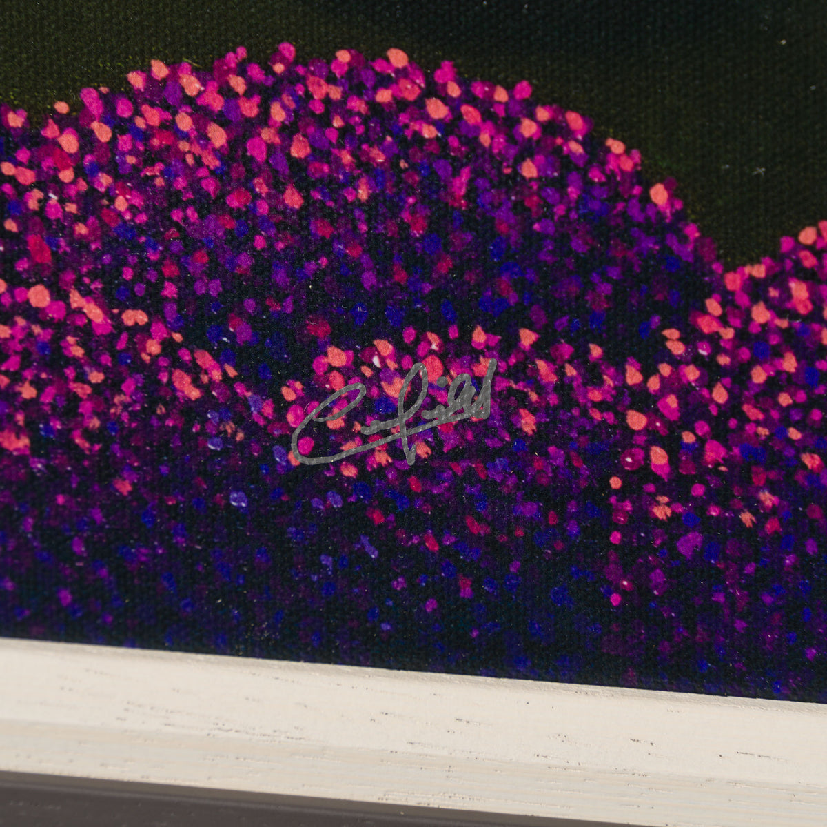 PCO Mountain Hideaway 3