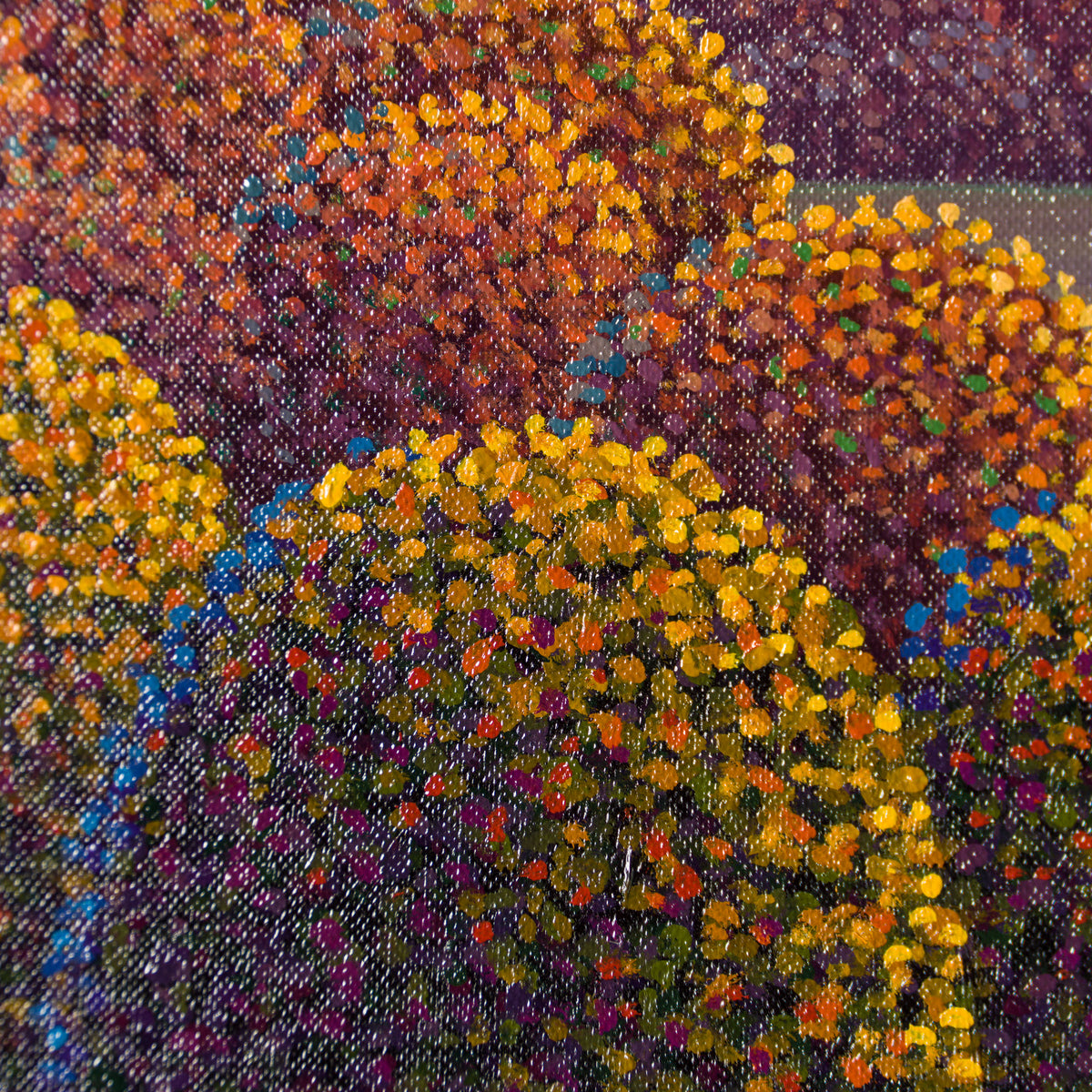 PCO ORI LAN 28714 6 Our Place