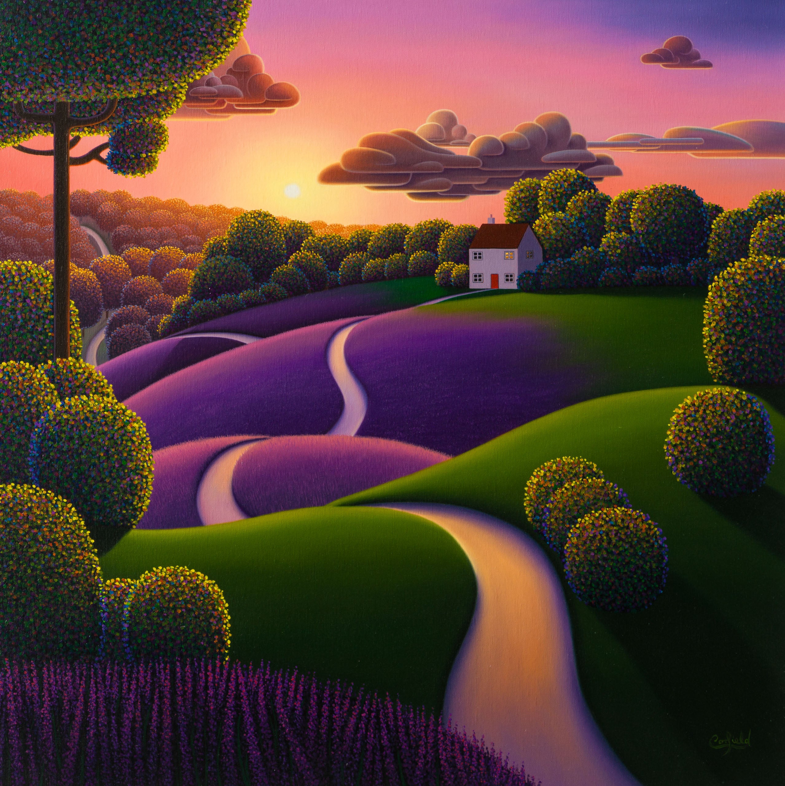 PCO ORI LAN 31535 Lavender Sunrise 31