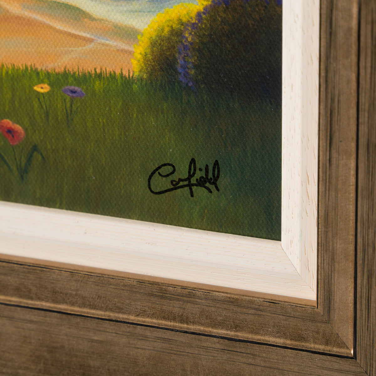 PCO Path To The Beach 3